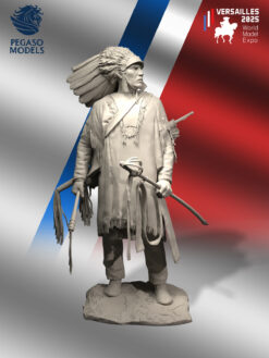 Indian Warrior Native American