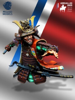 Samurai Warrior 16th CENTURY