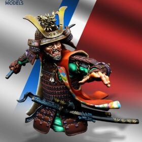 Samurai Warrior 16th CENTURY